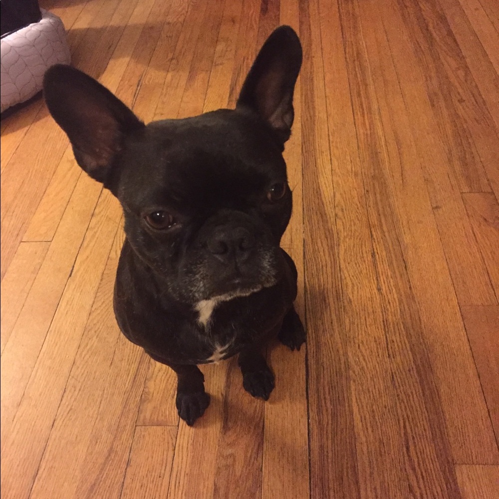 Meet your Posher, Sara